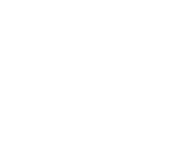 FREIGHT FORWARDING SERVICES