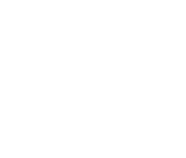 CONTAINER DEPOT